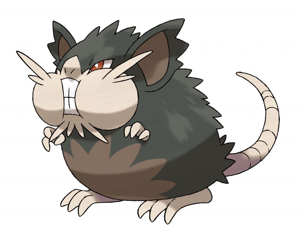 Raticate Alola Form